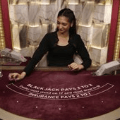 Blackjack VIP 15 game cover